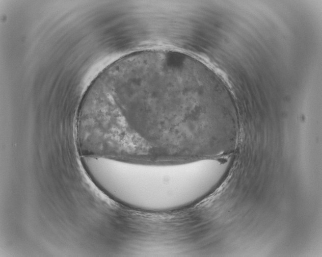 X0000087381239200705111727