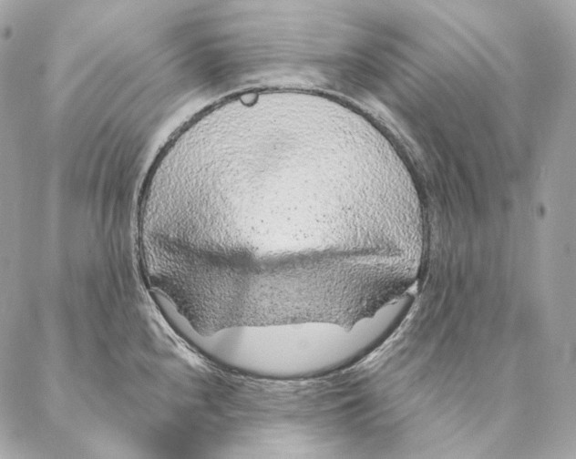 X0000087381240200705111727