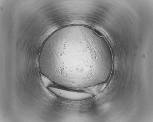 X0000087381241200705111727