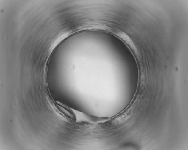 X0000087381242200705111727