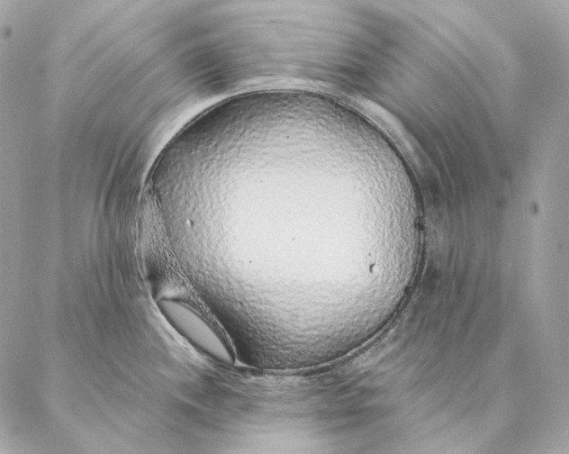 X0000087381244200705111727