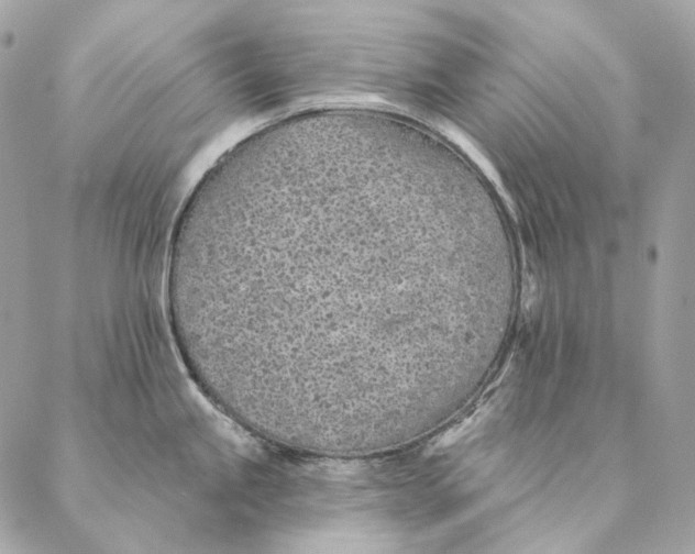 X0000087381245200705111727