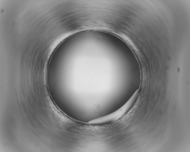 X0000087381246200705111727