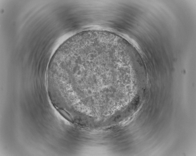 X0000087381247200705111727