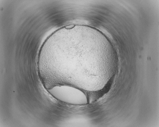 X0000087381248200705111727