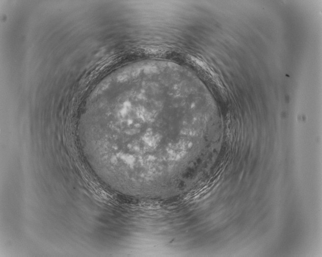 X0000087381249200705111727