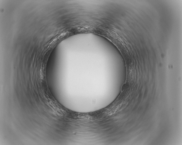 X0000087381250200705111727