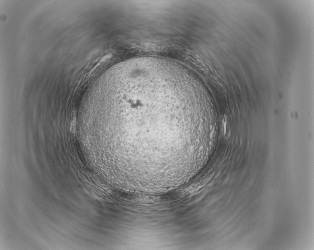 X0000087381251200705111727