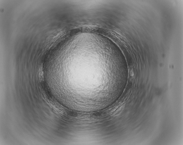 X0000087381252200705111727