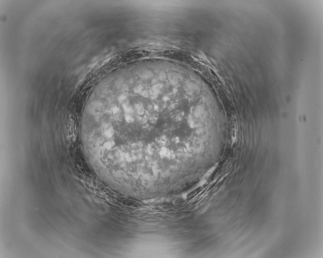 X0000087381253200705111727