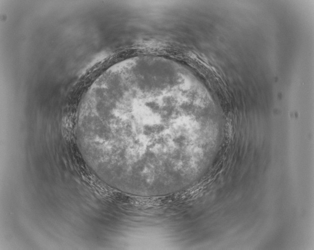 X0000087381254200705111727