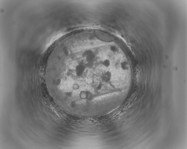 X0000087381255200705111727