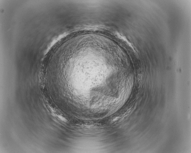 X0000087381256200705111727