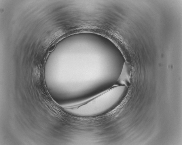 X0000087381257200705111726