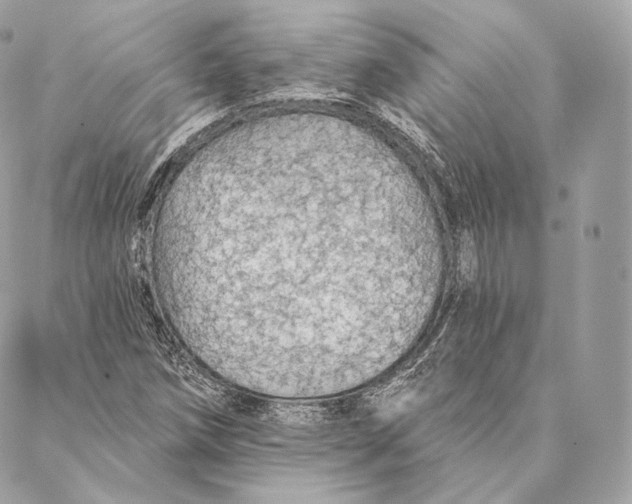 X0000087381258200705111726