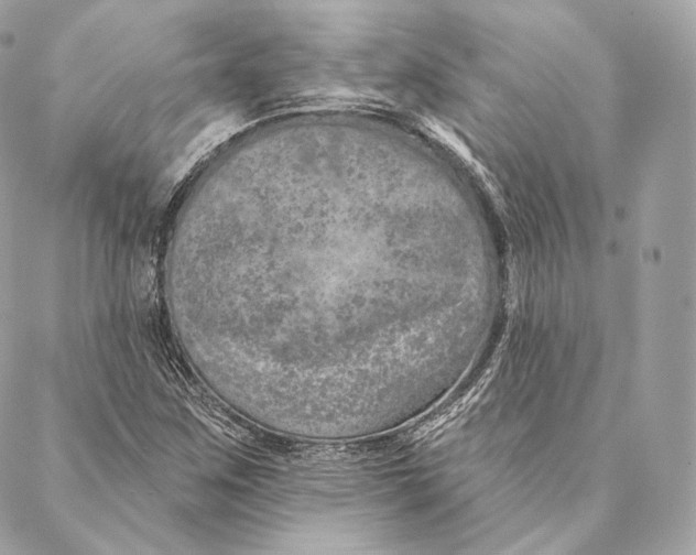 X0000087381259200705111726