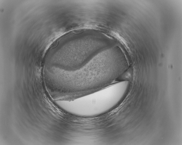 X0000087381260200705111726