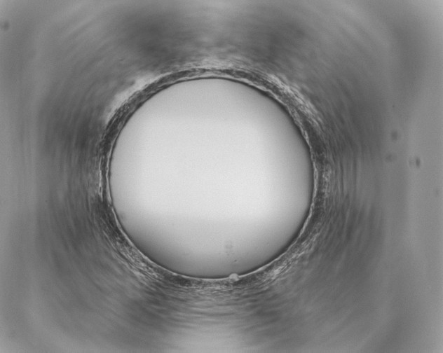 X0000087381262200705111726