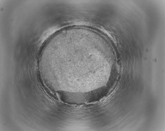 X0000087381263200705111726