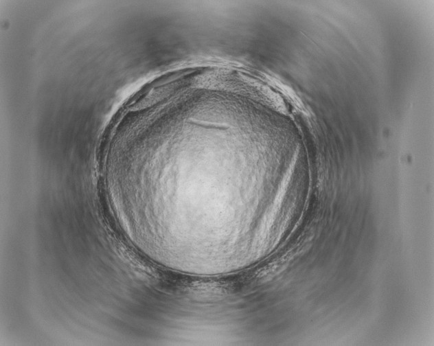 X0000087381264200705111726