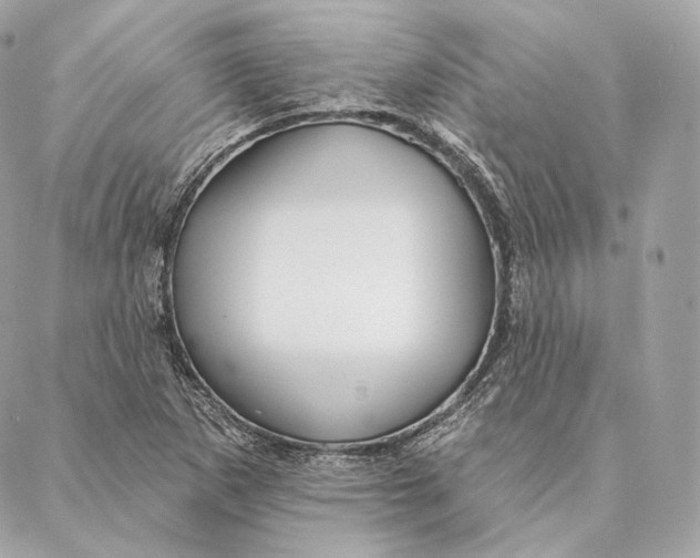 X0000087381265200705111726