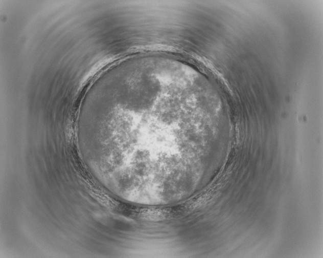 X0000087381266200705111726