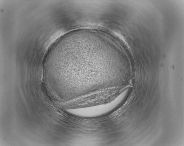 X0000087381267200705111726