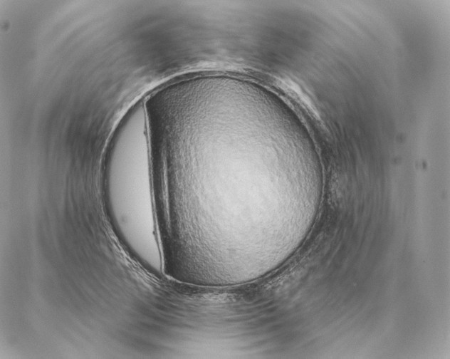 X0000087381268200705111726