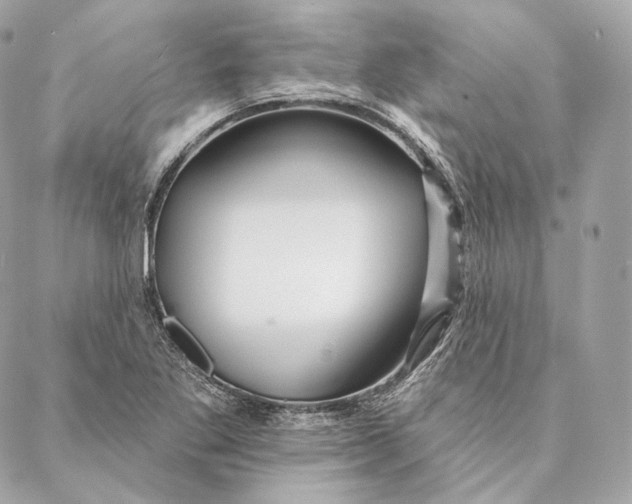 X0000087381269200705111726