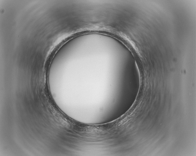 X0000087381270200705111726