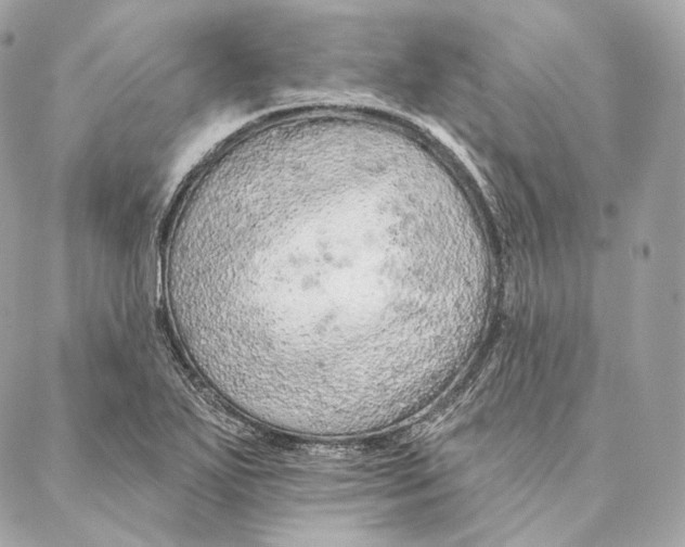 X0000087381271200705111726