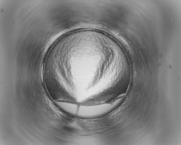 X0000087381272200705111726