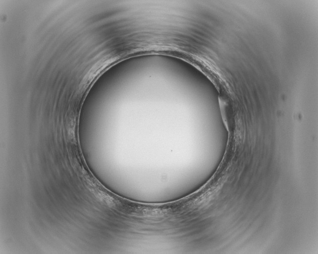 X0000087381273200705111726