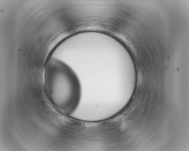 X0000087381274200705111726