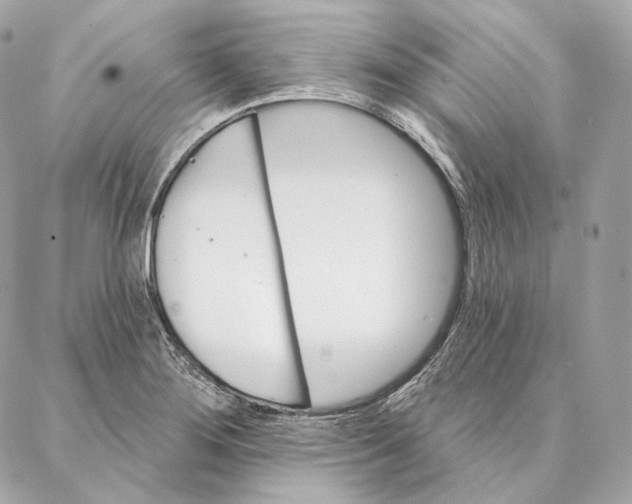 X0000087381276200705111726