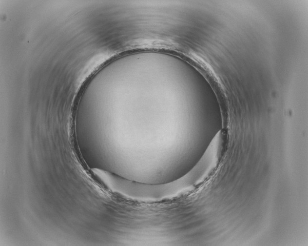 X0000087381277200705111726