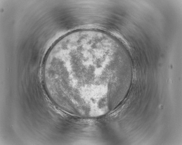 X0000087381278200705111726