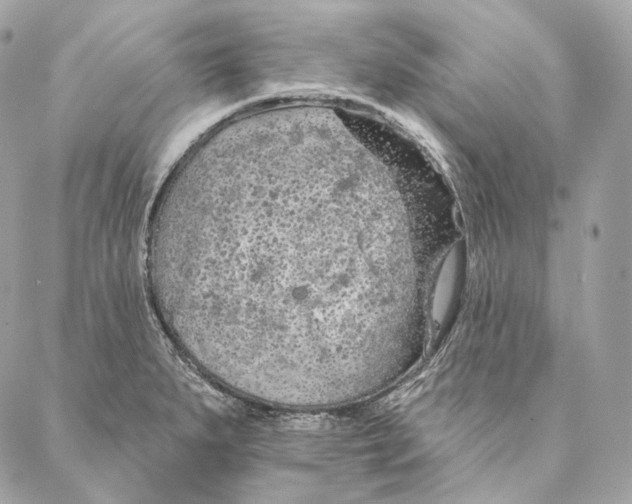 X0000087381279200705111726