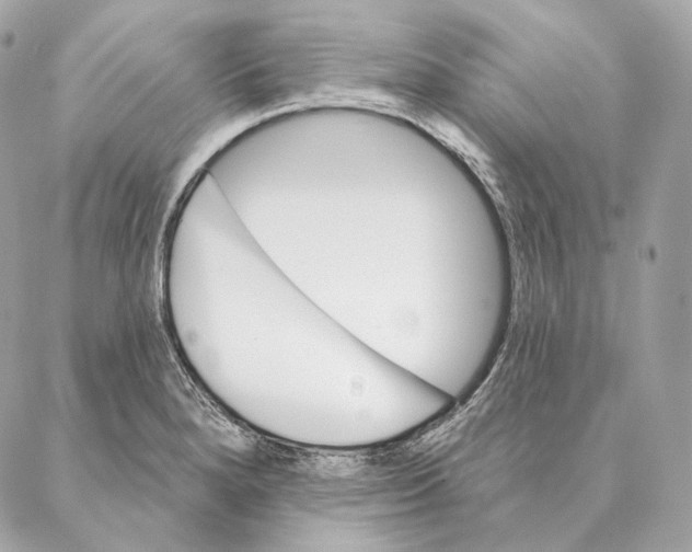 X0000087381280200705111726