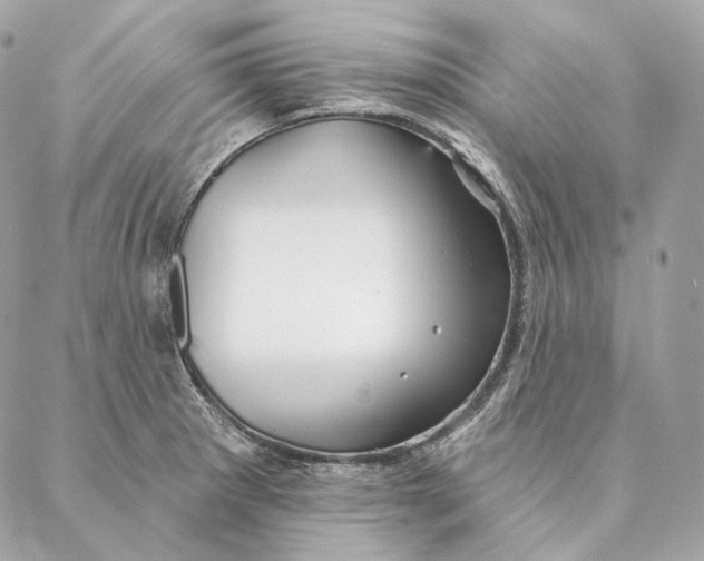 X0000087381281200705111726