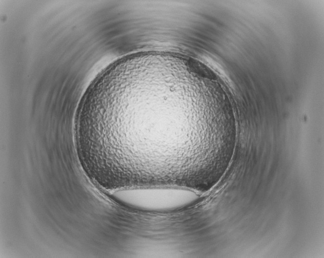 X0000087381283200705111726