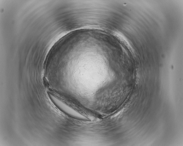 X0000087381284200705111726