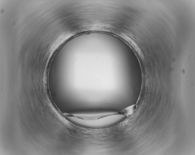 X0000087381285200705111726