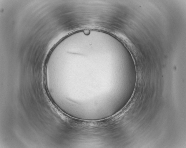 X0000087381286200705111726