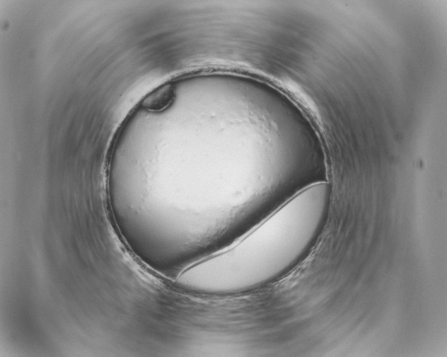 X0000087381287200705111726