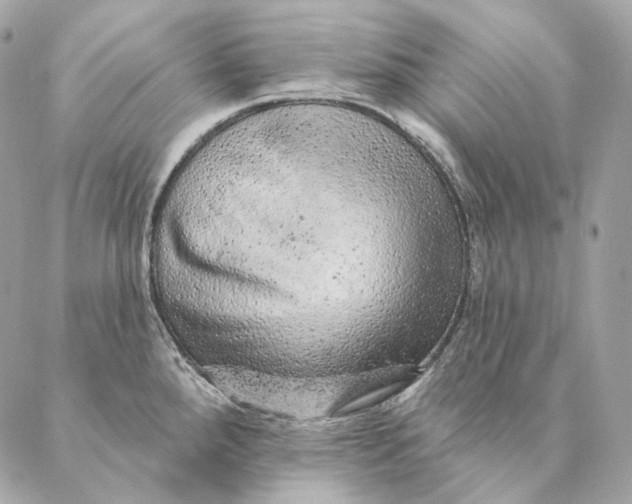 X0000087381288200705111726