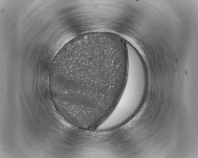 X0000087381289200705111726