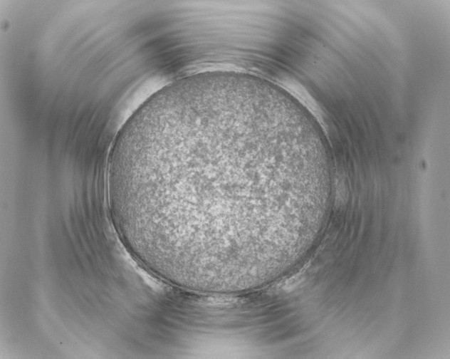 X0000087381290200705111726