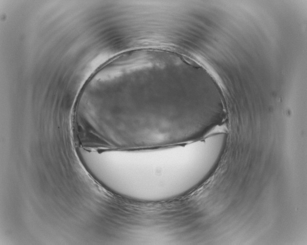 X0000087381291200705111726