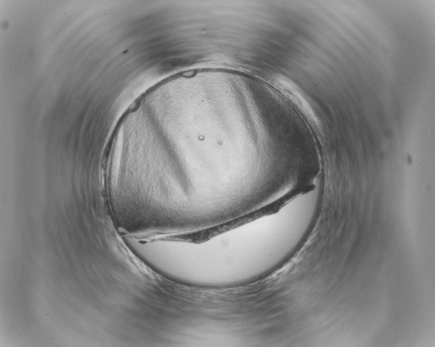 X0000087381292200705111726